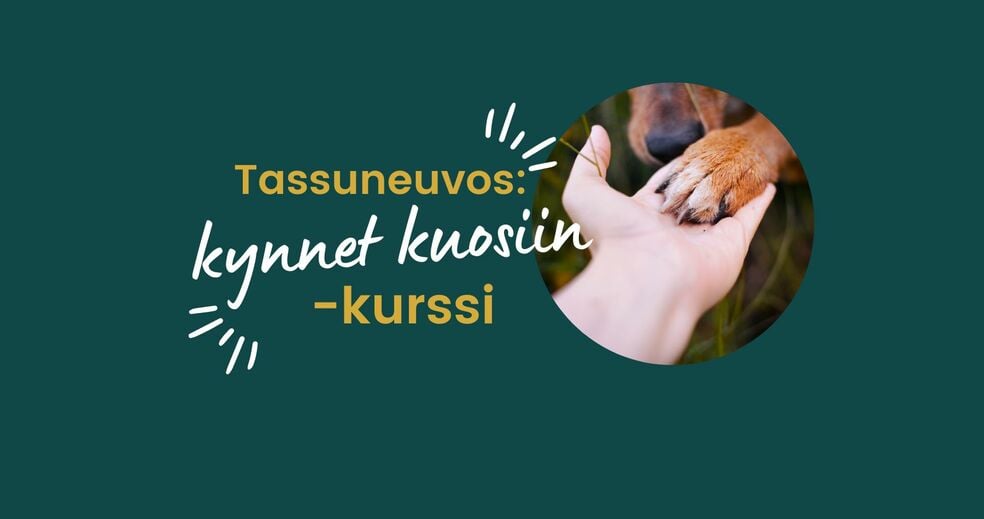 Tassuneuvos: Kynnet kuosiin! -minikurssi by Tassuneuvos