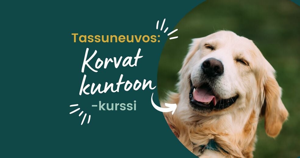 Tassuneuvos: Korvat kuntoon -verkkokurssi by Tassuneuvos