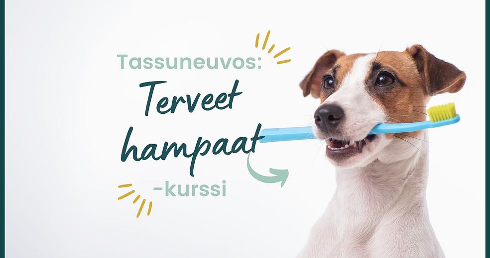 Tassuneuvos: Terveet hampaat!  by Tassuneuvos